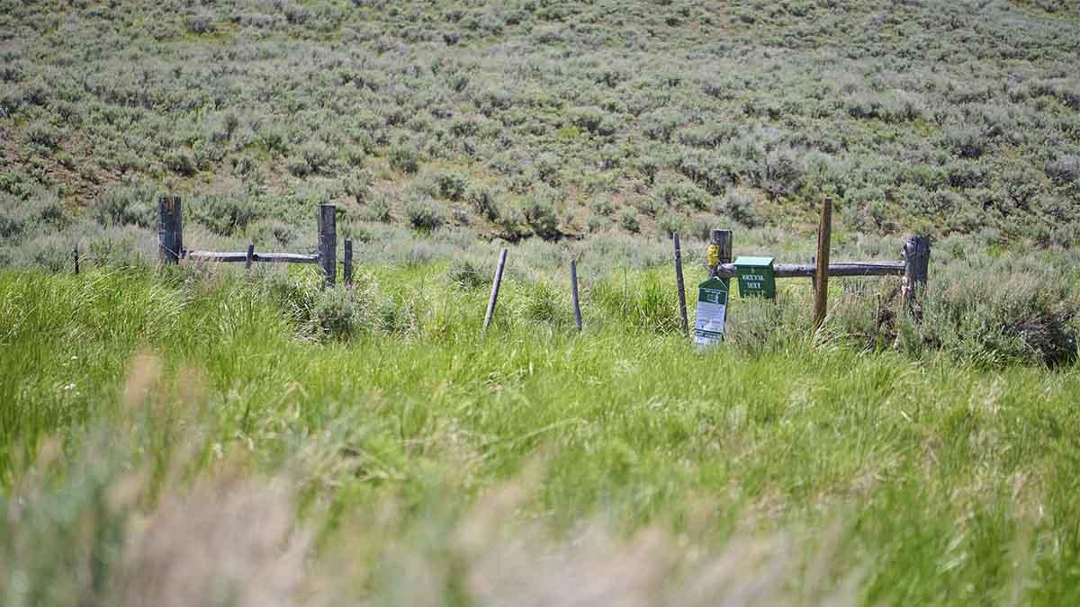 在爱达荷州中部的Rinker Rock Creek牧场，在入侵的草和山艾树之间有一道栅栏.