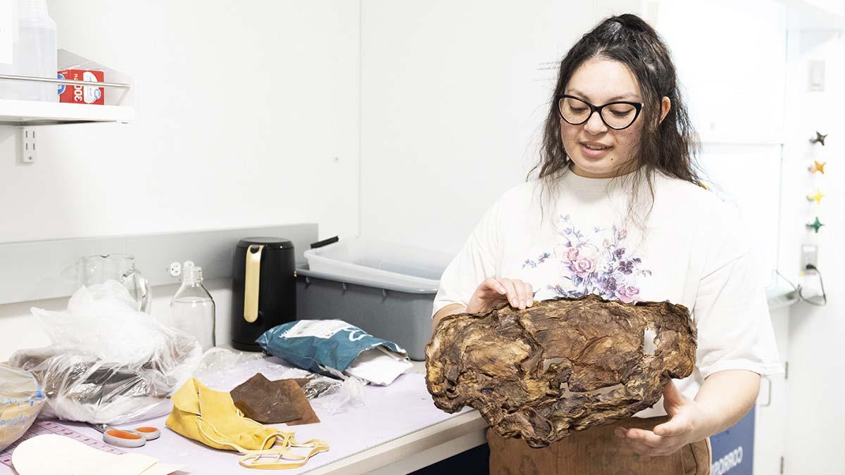 一个女人拿着一个大的, 晾干的SCOBY放在实验室里一张有图案的桌子旁, 剪刀和皮鞋.